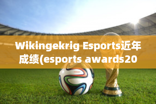 Wikingekrig Esports近年成绩(esports awards2019)