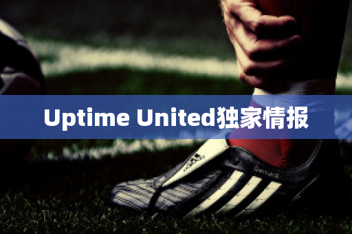 Uptime United独家情报