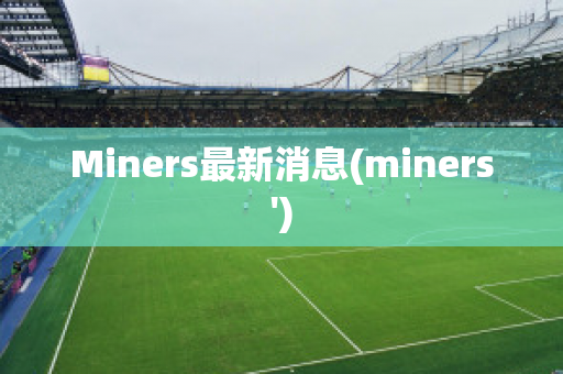 Miners最新消息(miners')